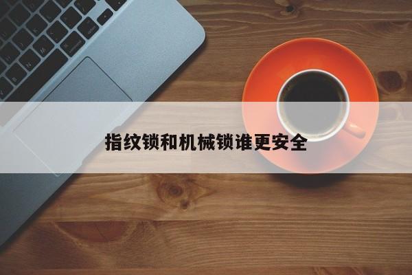 指紋鎖和機(jī)械鎖誰更安全